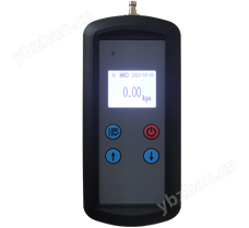 P10系列数字压力计