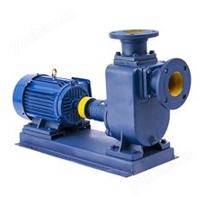 ZX100-100-65清水型自吸泵