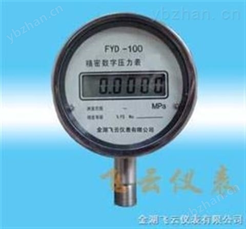 精密數字壓力表