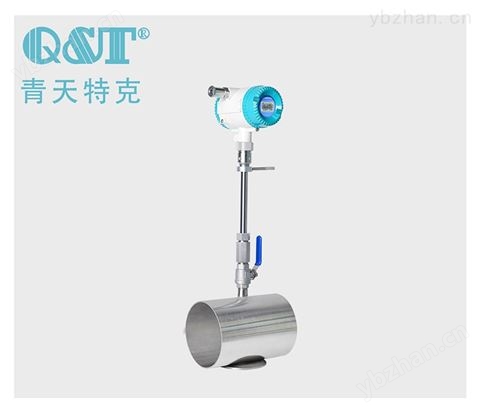 插入熱式氣體質量流量計
