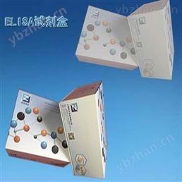 犬N端前腦鈉素檢測(cè)試劑盒廠家