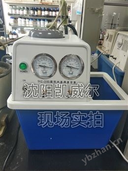 SHZ-D(III)循环水式真空泵