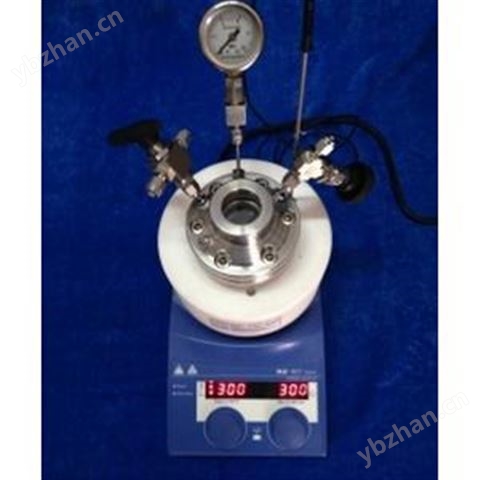 微型可视光催化高压釜WCGF-100ml