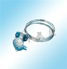 WRN-430D多点热电偶