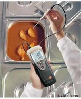 testo 110高精度測溫儀