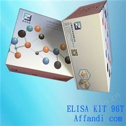 大鼠6酮前列腺素（6-K-PG）elisa進(jìn)口試劑盒