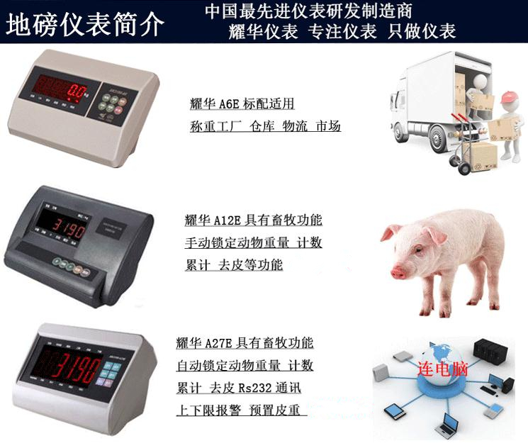汽車衡稱重顯示儀器