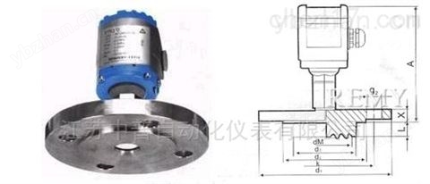 法兰式压力变送器