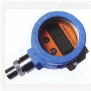 防爆智能数显压力表