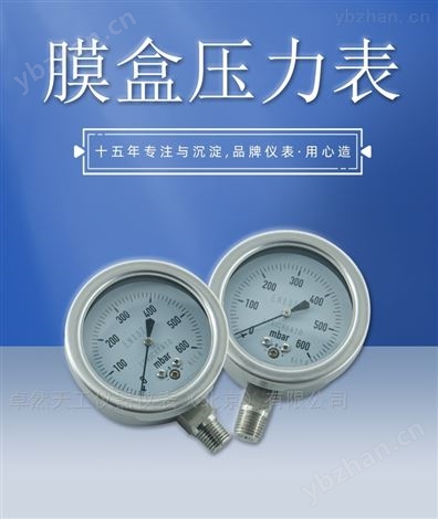 徑向調零膜盒天然氣管道微壓耐震壓力表